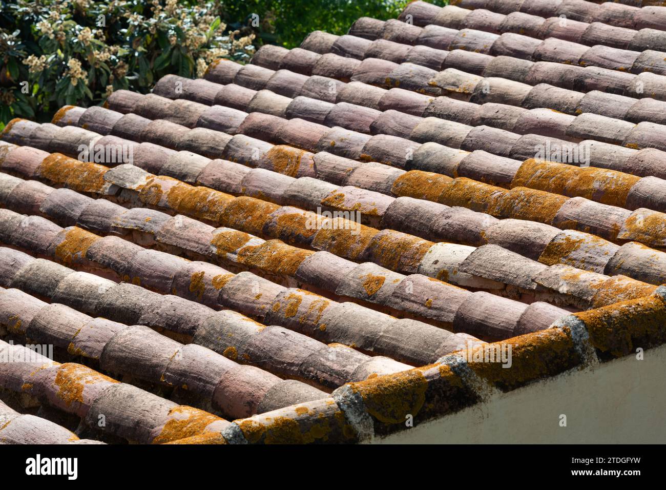 Détail des tuiles incurvées et texturées en terre cuite utilisées dans la construction de maisons dans toute l'Espagne, l'Italie et le Portugal et d'autres régions du sud de l'Europe Banque D'Images