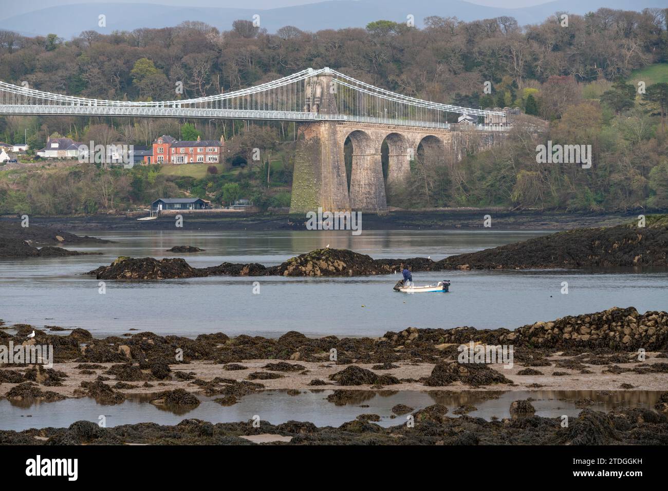 Pont suspendu de Menai et le détroit de Menai sur la côte du nord du pays de Galles. Un pêcheur apportant une prise dans un petit bateau. Banque D'Images