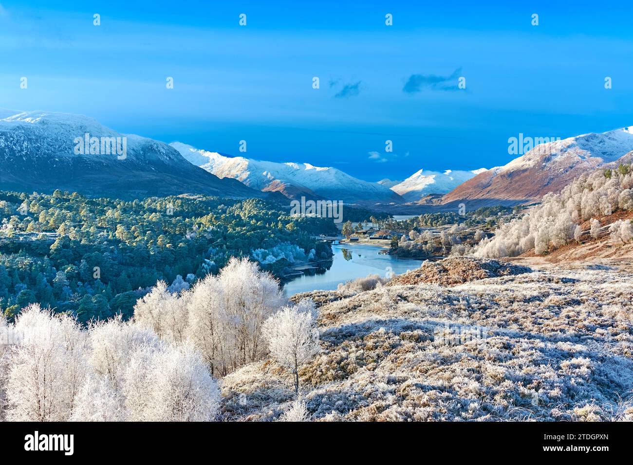 Glen Affric Cannich Écosse un soleil bleu et un gel blanc sur les bouleaux et les pins calédoniens et le loch avec de la neige sur les montagnes Banque D'Images