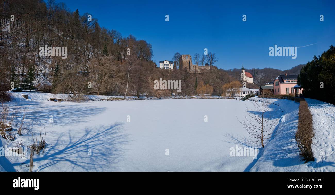 Ruines du château de Tharandt Banque D'Images Ruines du château de Tharandt Banque D'Images