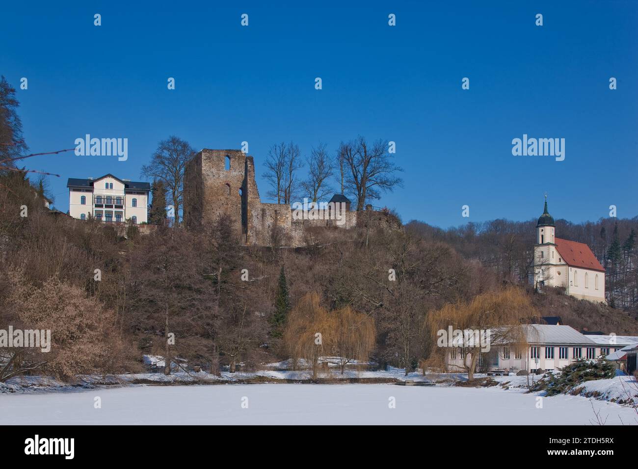 Ruines du château de Tharandt Banque D'Images Ruines du château de Tharandt Banque D'Images
