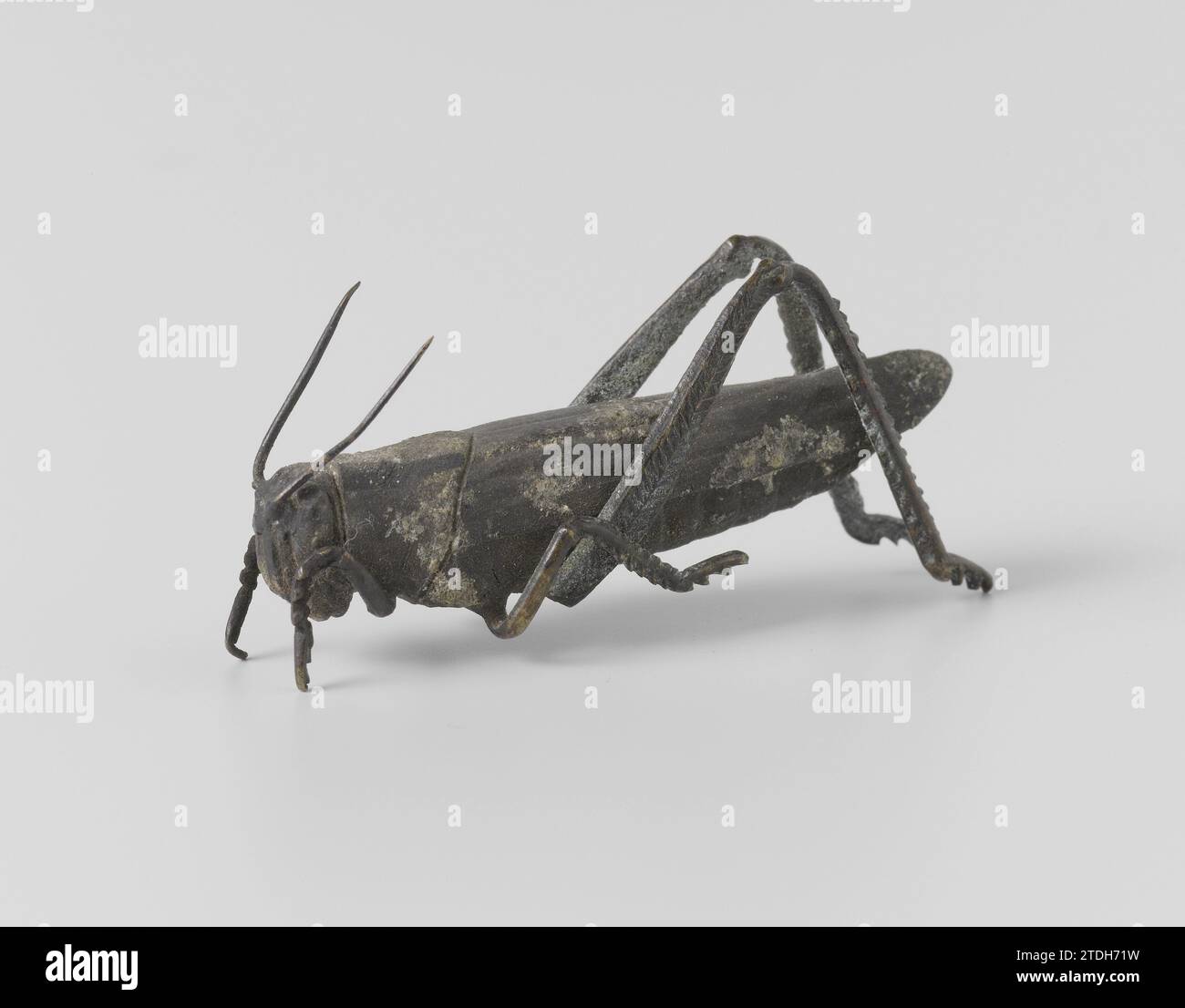 Sprinkhaan, Anonyme, 1800 - 1900 Grasshopper. Japon bronze (métal) Grasshopper. Bronze japonais (métal) Banque D'Images