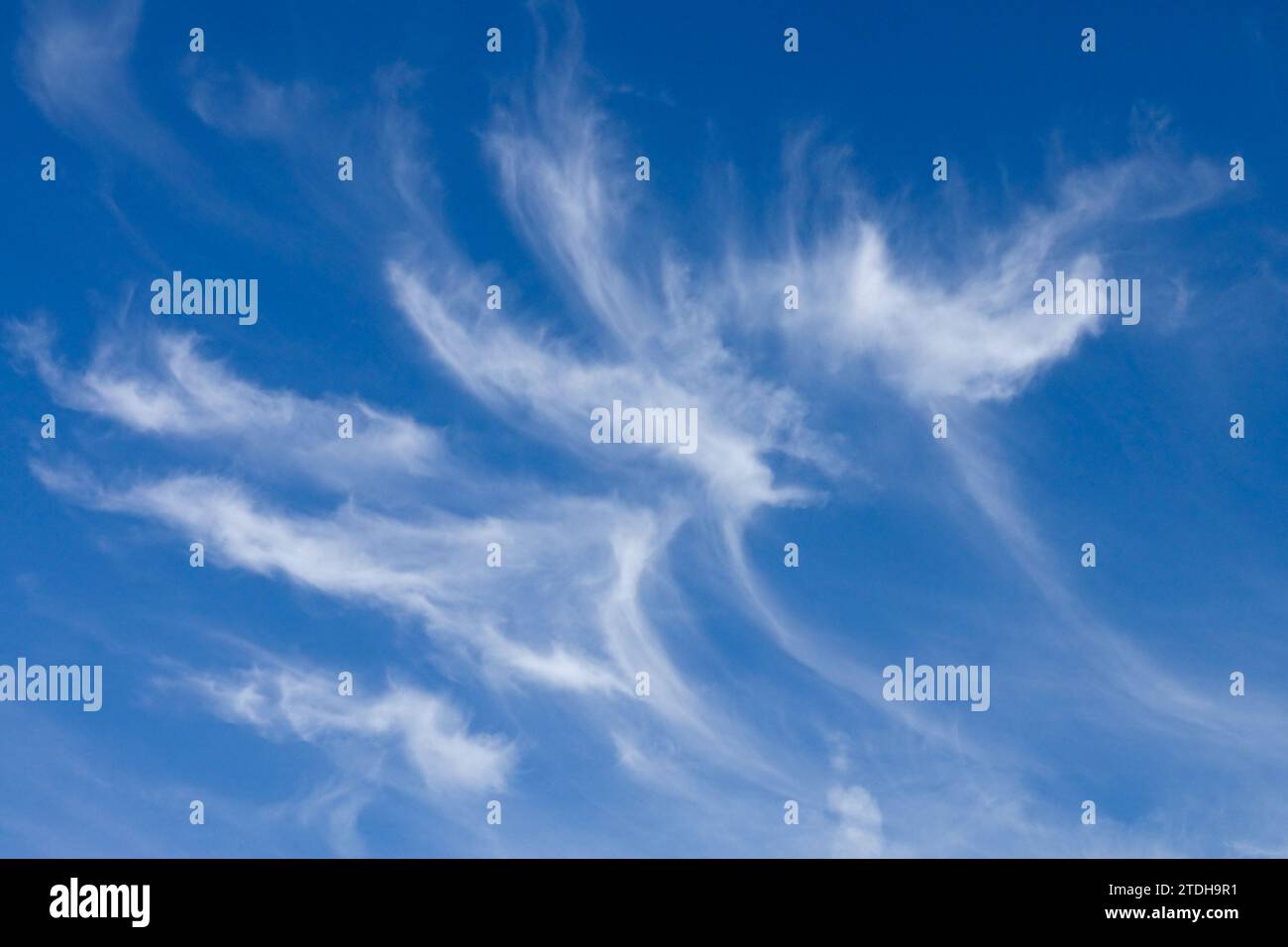 Nuages moelleux de fibres blanches sur la brume bleue du ciel Banque D'Images