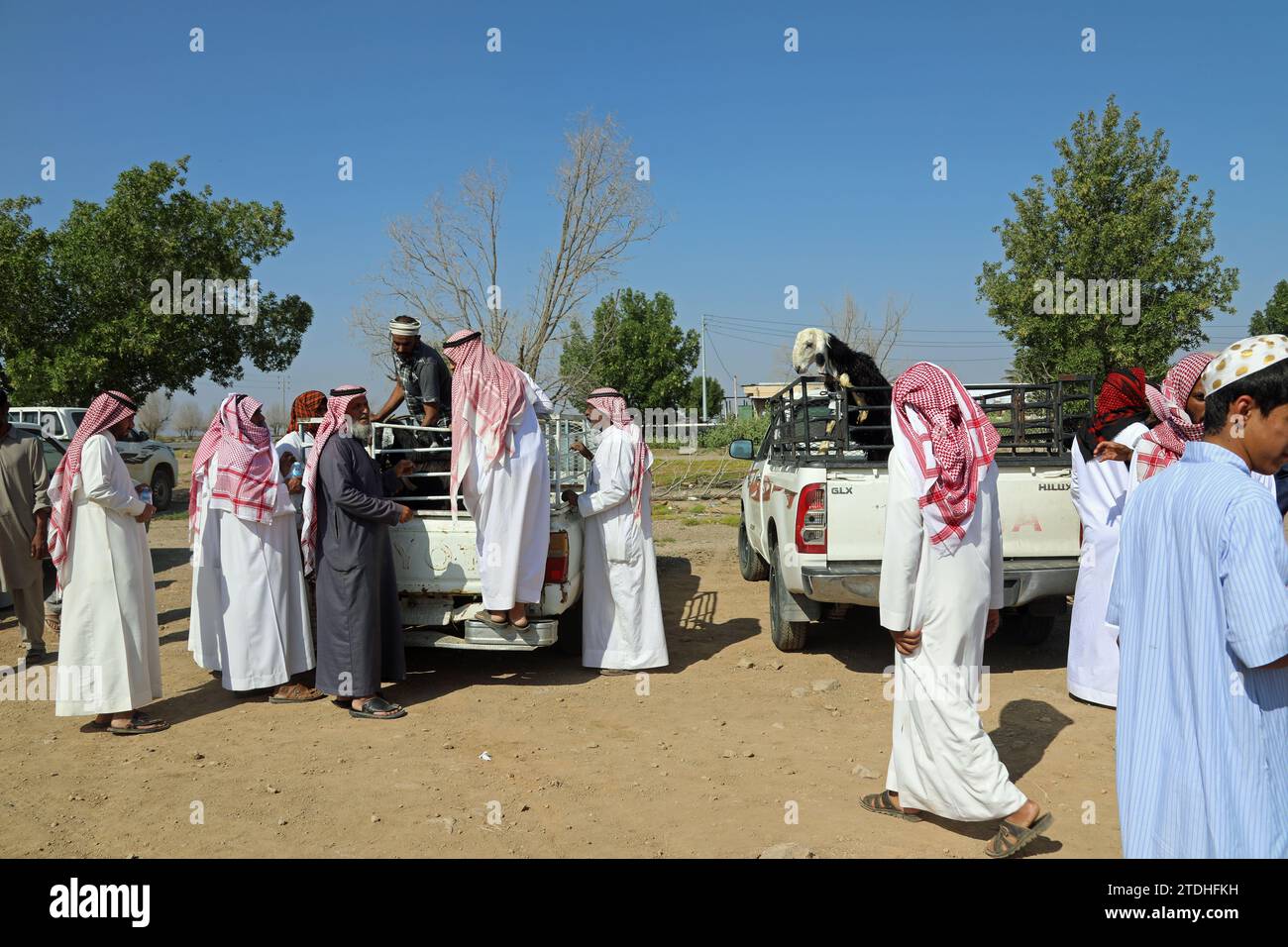 Les éleveurs de moutons en Arabie Saoudite achètent et vendent du bétail Banque D'Images