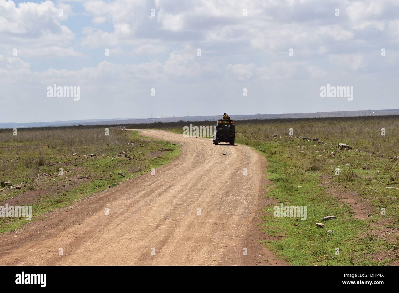 Un safari de croisière conduisant sur un chemin de terre au milieu du parc national de Nairobi Banque D'Images
