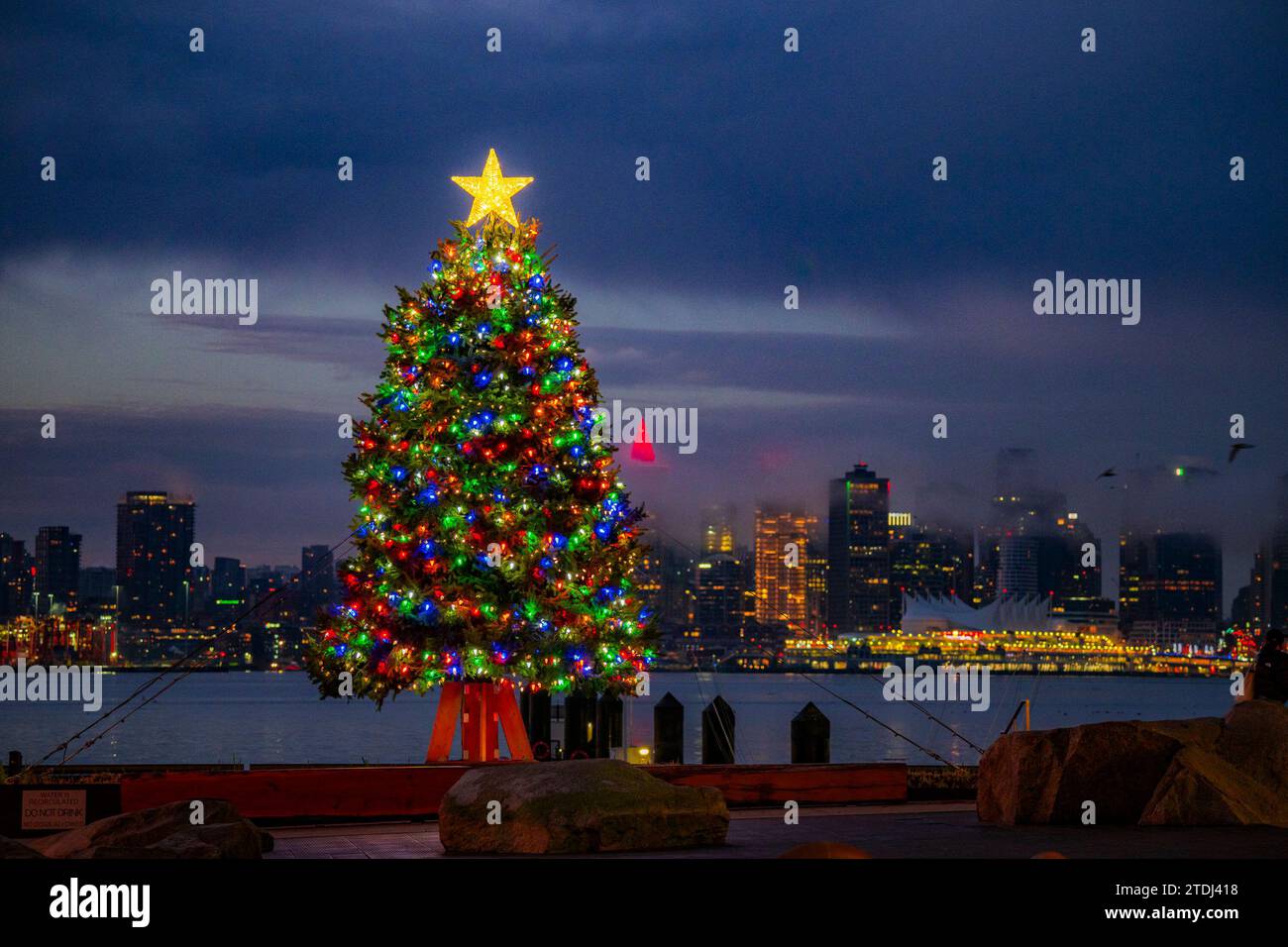 Arbre de Noël, Lonsdale Quay, North Vancouver, Colombie-Britannique, Canada Banque D'Images