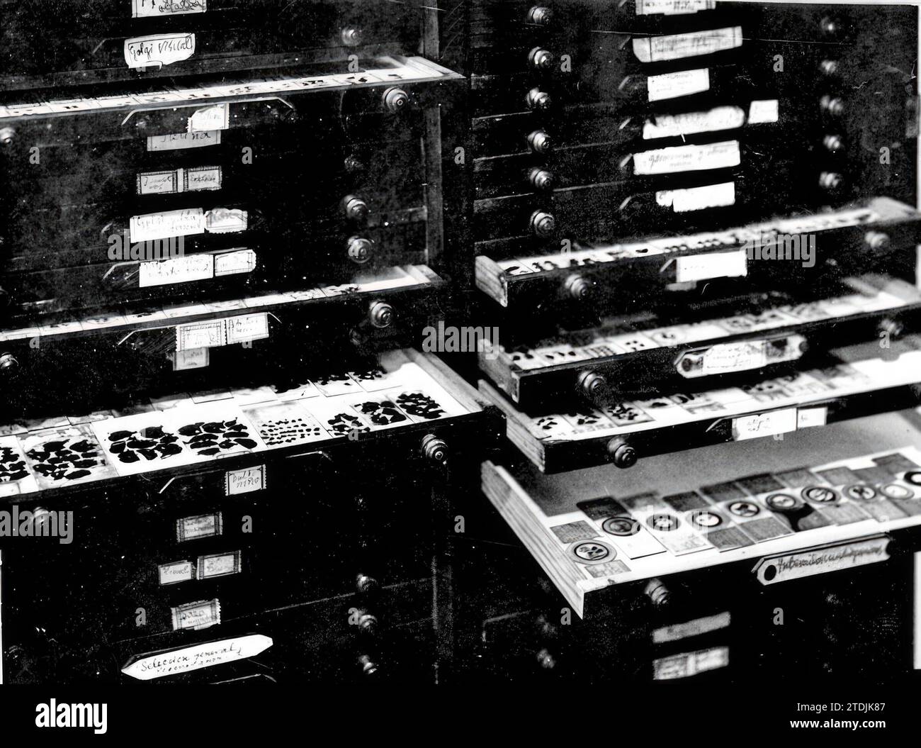 01/01/1960. Un des cabinets où Ramón y Cajal a rassemblé ses préparations avec des étiquettes et des étiquettes écrites de sa propre main. Crédit : Album / Archivo ABC / Virgilio Muro Banque D'Images