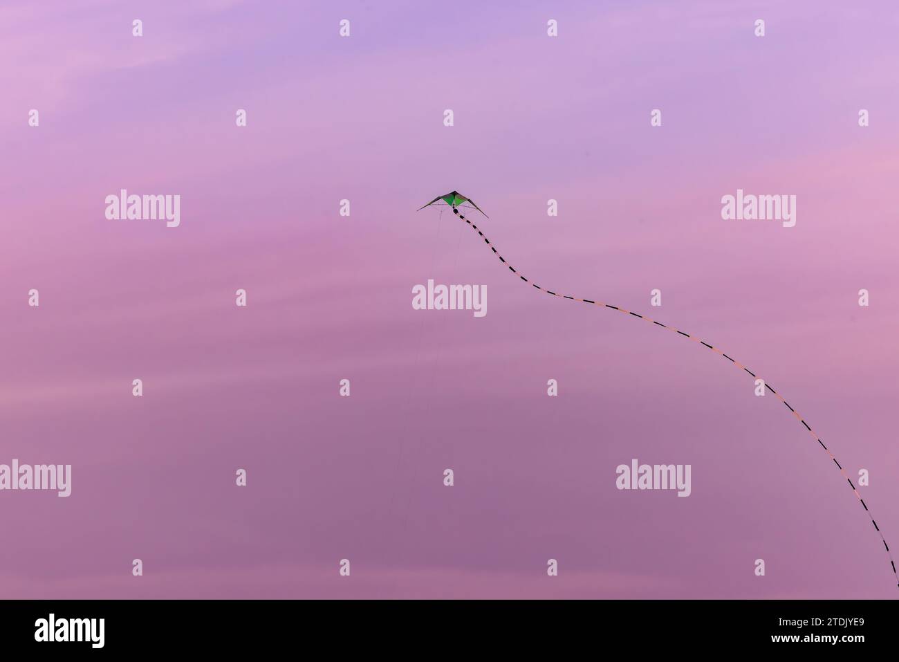 Cerf-volant volant volant à travers le ciel rose et violet du coucher du soleil avec une longue queue tourbillonnante Banque D'Images