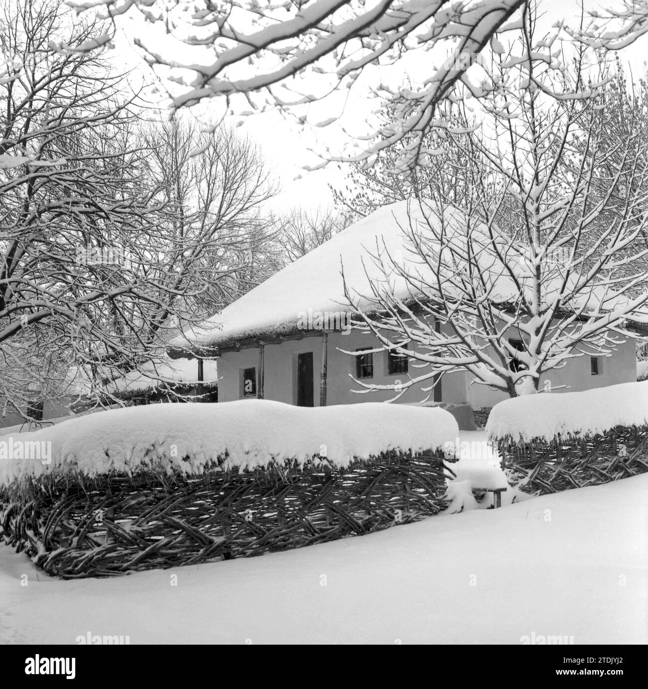 Musée du village, Bucarest, Roumanie, env. 1980. Une maison du 19e siècle avec toit de chaume en roseau et clôture en wattle couverte de neige. Banque D'Images
