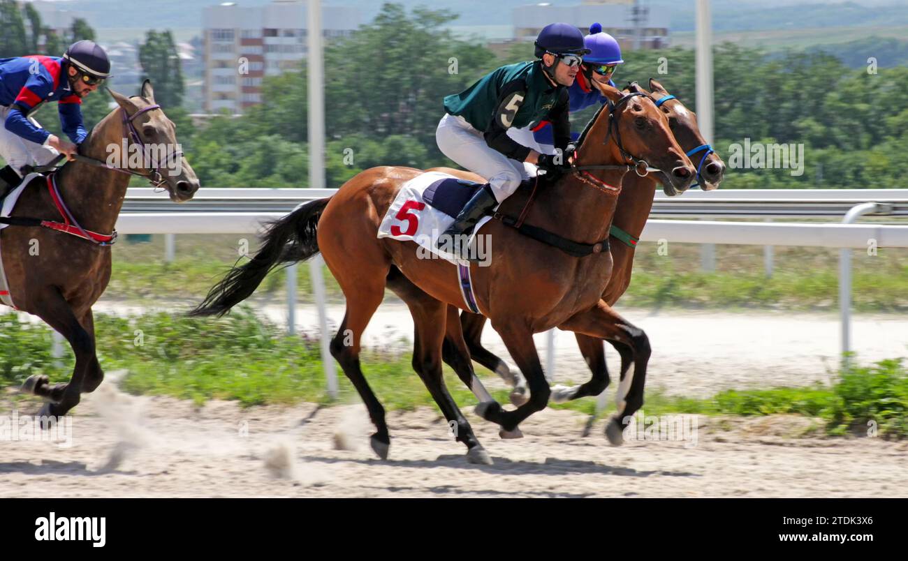 PIATIGORSK, RUSSIE - JUILLET 15,2023:course à cheval pour le prix Kaisheva dans l'hippodrome de Pyatigorsk, Caucase du Nord.Ahead Guseinov Gusein. Banque D'Images