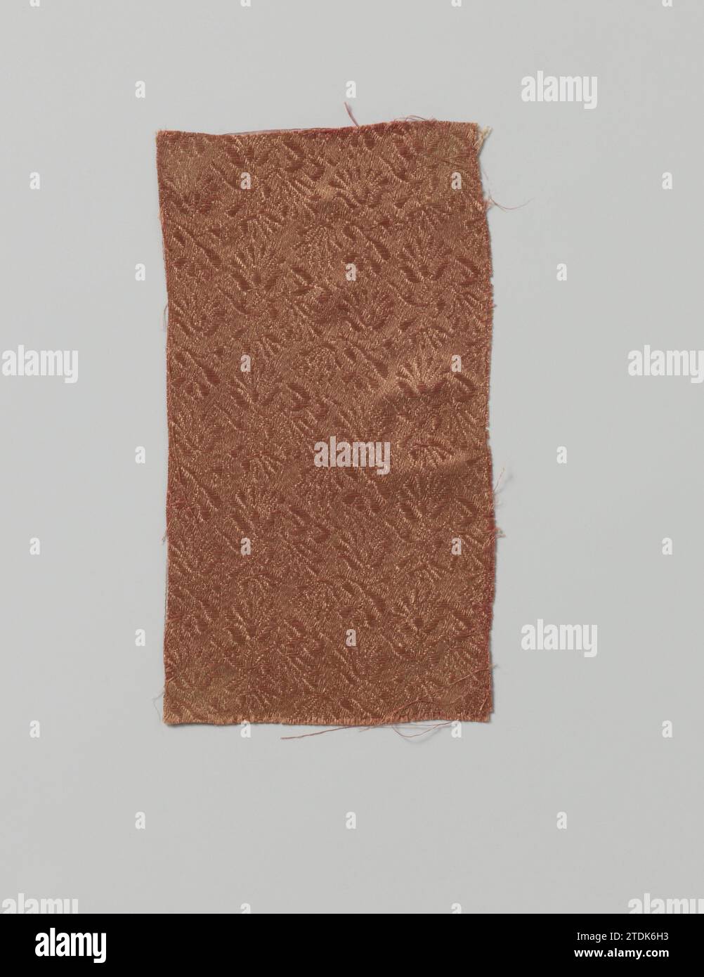 Fragment latéral rouge, c. 1620 - c. 1640 fragment latéral rouge avec motif répétitif de fleurs stylisées sur des branches incurvées avec des feuilles. Allemagne Katting un élément : fragment latéral rouge soie avec motif répétitif de fleurs stylisées sur des branches incurvées avec des feuilles. Allemagne Ketting un élément : la soie Banque D'Images