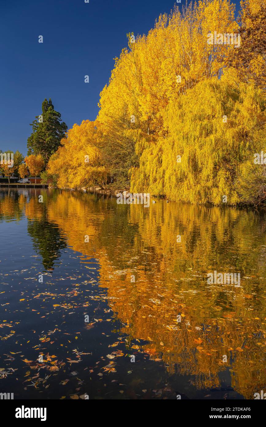 FR : étang de Puigcerdà en automne avec le changement de couleur dans les arbres (Cerdanya, Gérone, Catalogne, Espagne, Pyrénées) ESP : Lago de Puigcerdà en otoño con Banque D'Images
