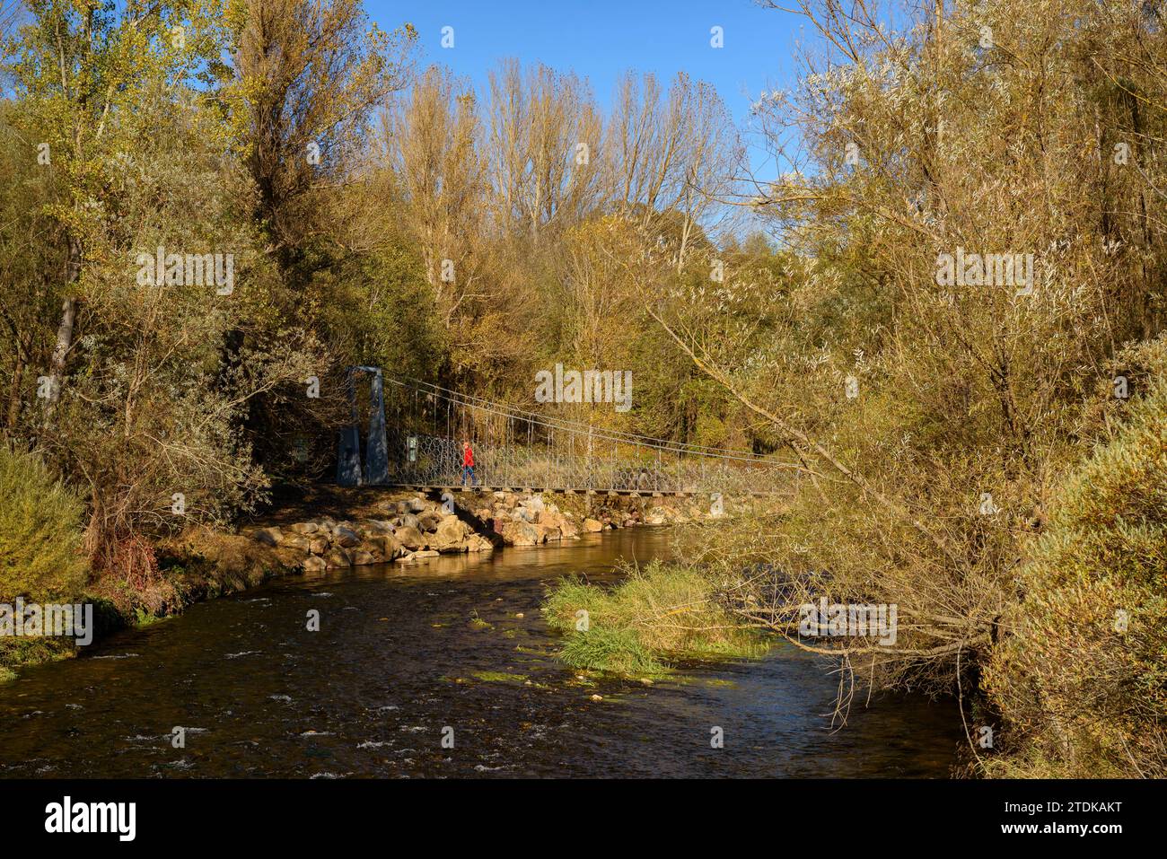 Passerelle suspendue sur la rivière Segre en automne (Cerdanya, Gérone, Catalogne, Espagne, Pyrénées) ESP : Pasarela del puente colgante sobre el Segre Banque D'Images