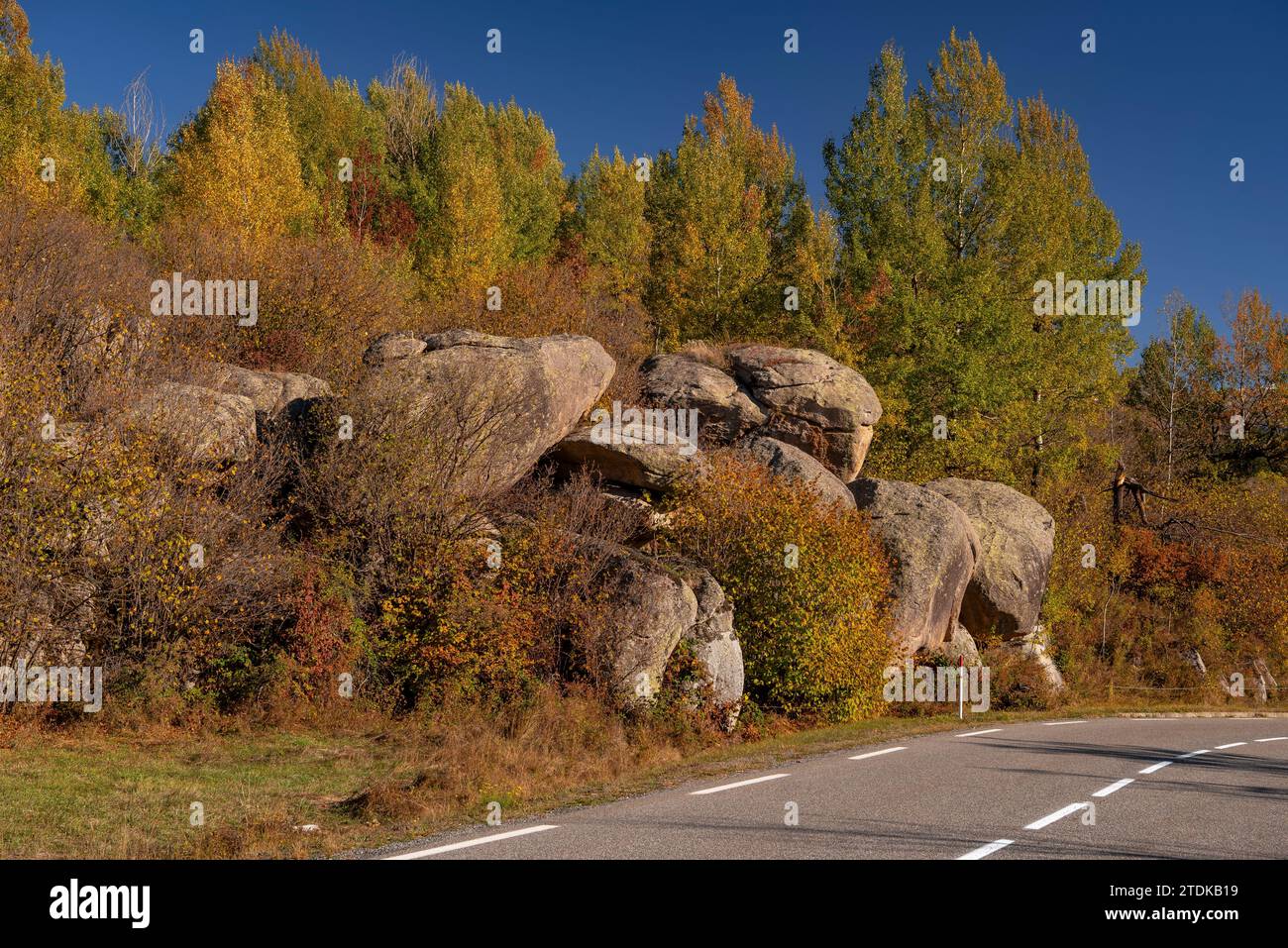 Chaos Targasonne, formé de blocs rocheux parmi la forêt aux couleurs automnales (haute Cerdagne, Pyrénées-Orientales, Occitanie, France) Banque D'Images