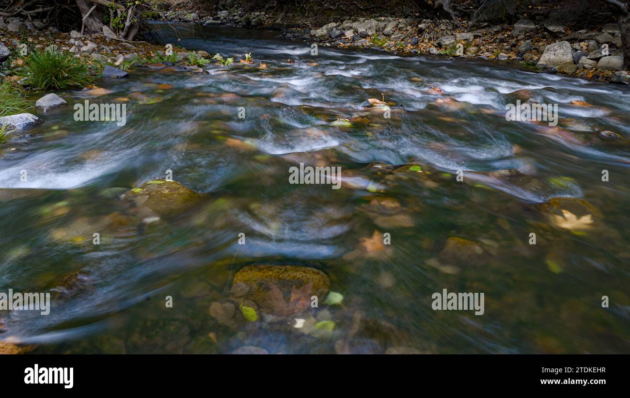 Les feuilles d'automne, les rochers et l'eau qui coule dans Coyote grincent. Banque D'Images