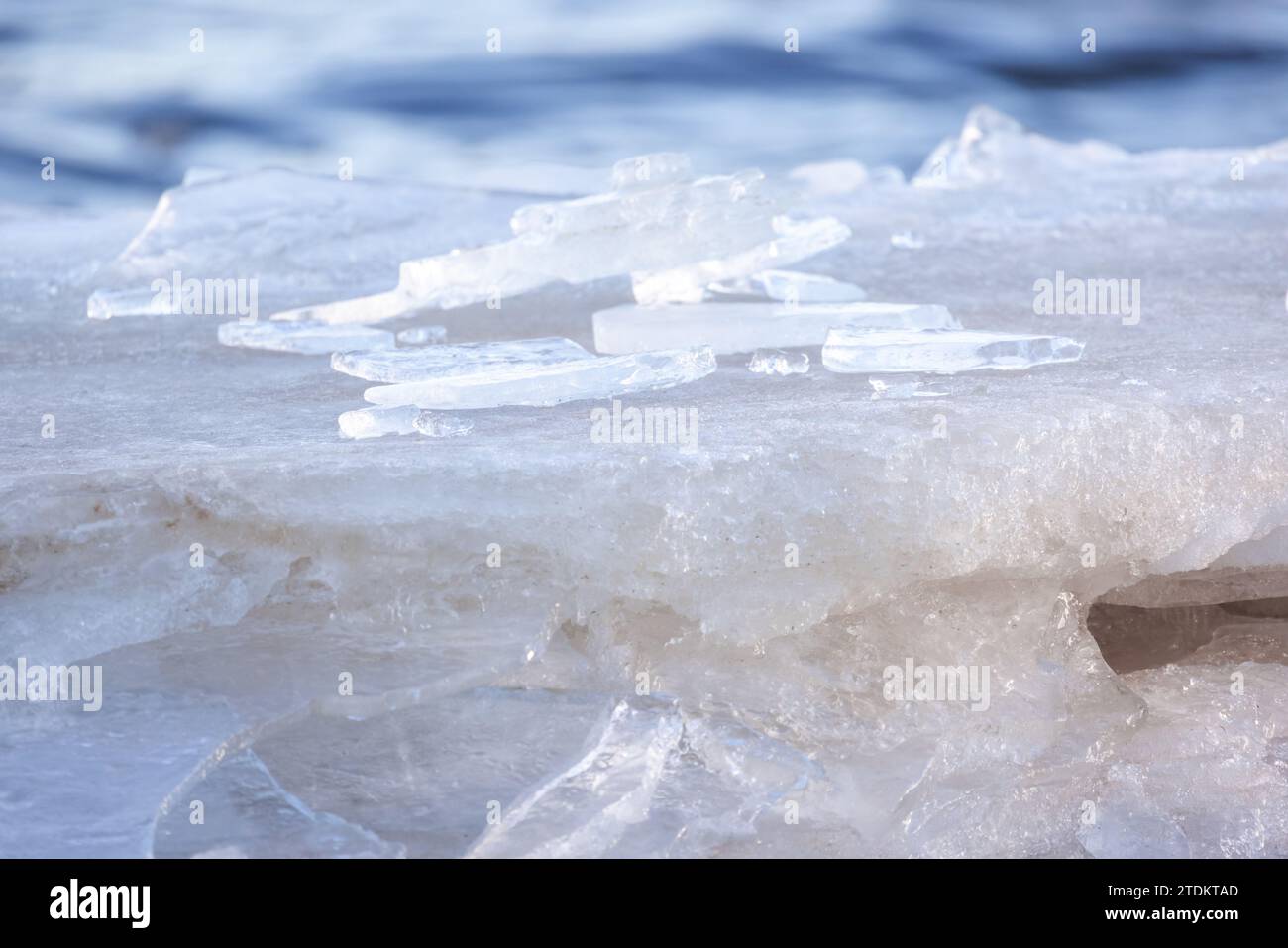 Des éclats de glace se trouvent sur la côte de la mer Baltique gelée un jour d'hiver, photo en gros plan avec mise au point sélective Banque D'Images