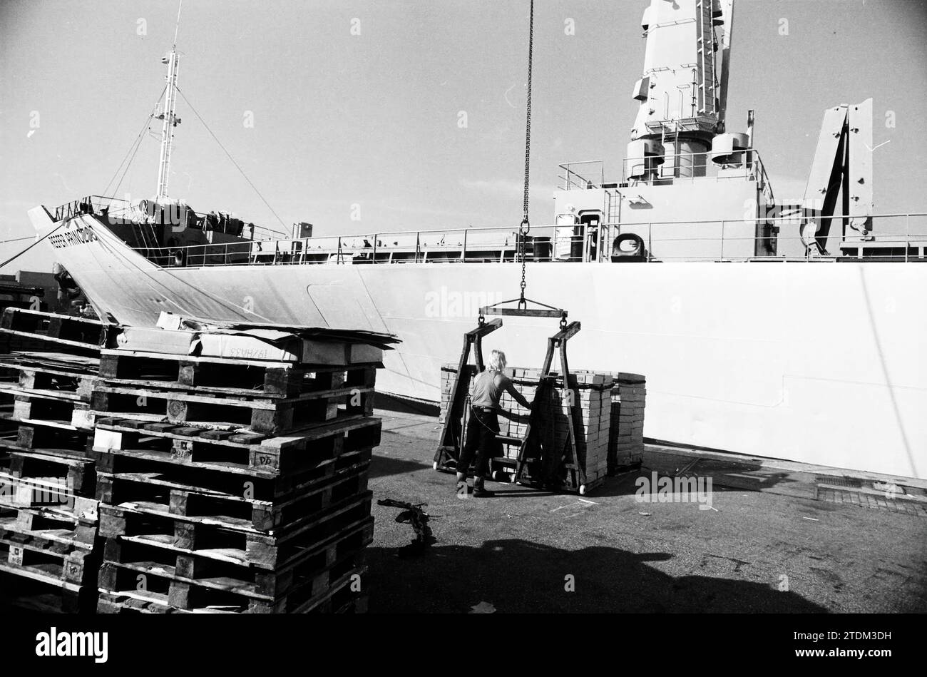 Reefer Princess, IJm, IJmuiden, pays-Bas, 09-10-1995, Whizgle nouvelles du passé, adaptées à l'avenir. Explorez les récits historiques, l'image de l'agence néerlandaise avec une perspective moderne, comblant le fossé entre les événements d'hier et les perspectives de demain. Un voyage intemporel façonnant les histoires qui façonnent notre avenir Banque D'Images