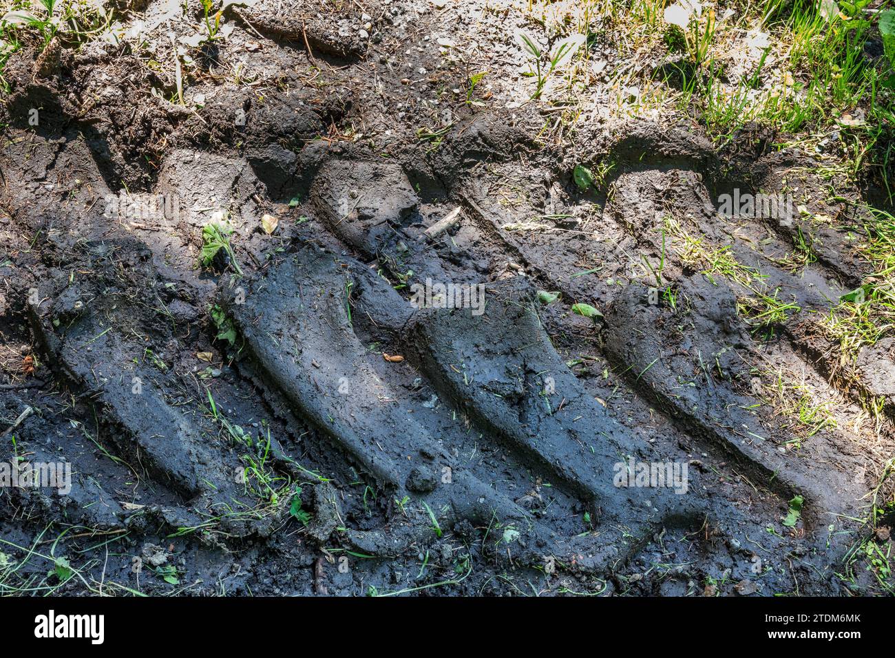 Traces laissées dans la boue par un tracteur. Gros plan Banque D'Images