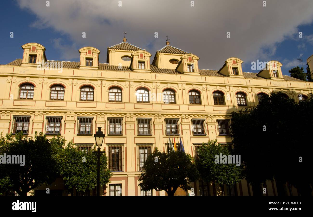 Siège de la délégation gouvernementale de la Junta de Andalucia. Séville. Andalousie. Espagne. Banque D'Images