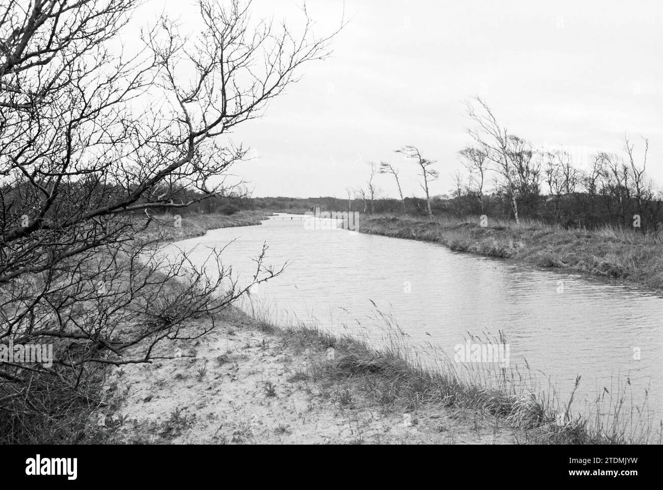Excursion de la compagnie des eaux de Haarlem à une zone d'extraction d'eau dans les dunes, 05-07-1979, Whizgle News from the Past, taillé pour l'avenir. Explorez les récits historiques, l'image de l'agence néerlandaise avec une perspective moderne, comblant le fossé entre les événements d'hier et les perspectives de demain. Un voyage intemporel façonnant les histoires qui façonnent notre avenir Banque D'Images