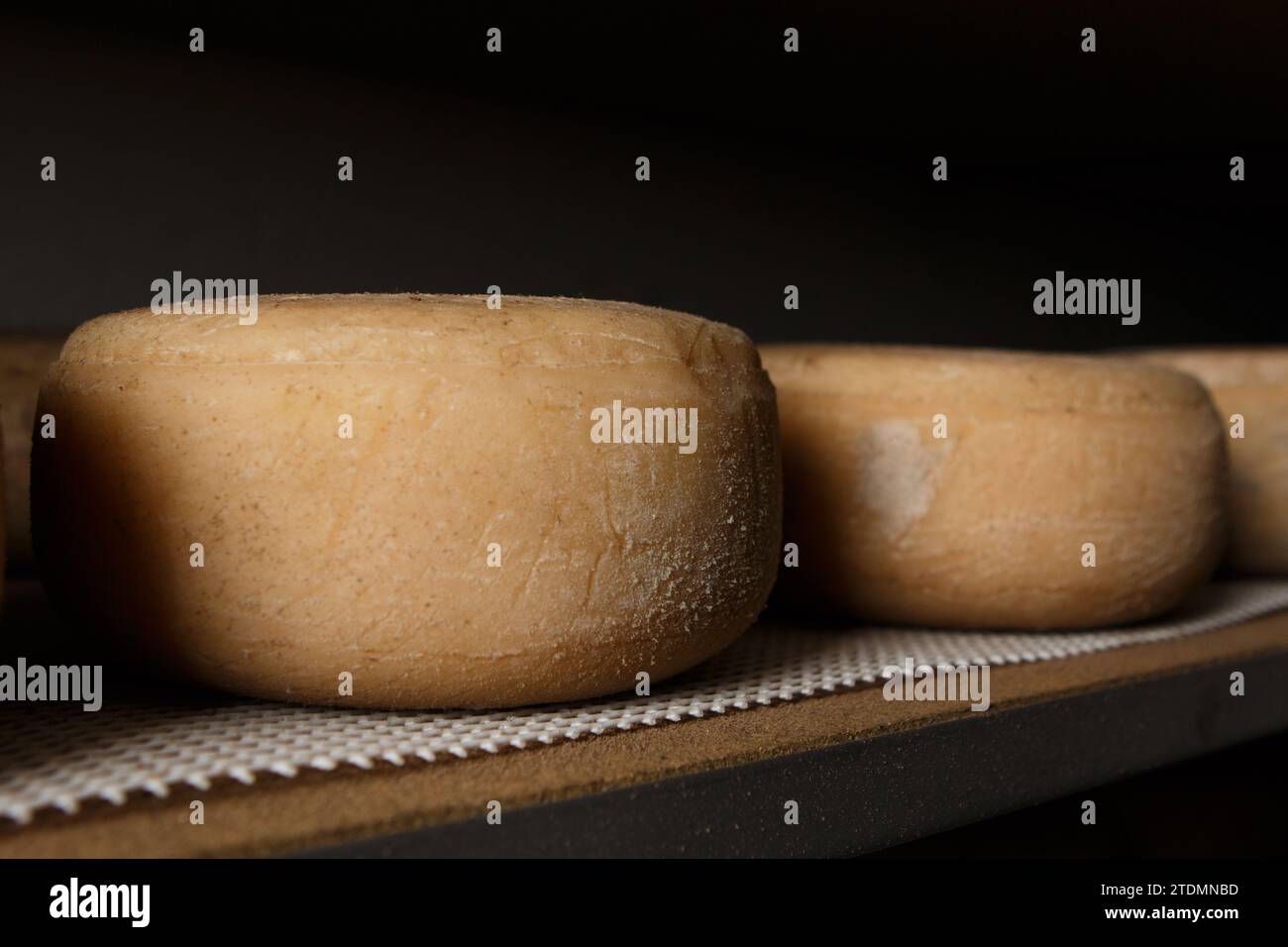 Production de fromage artisanal. Dans le processus de durcissement. Banque D'Images