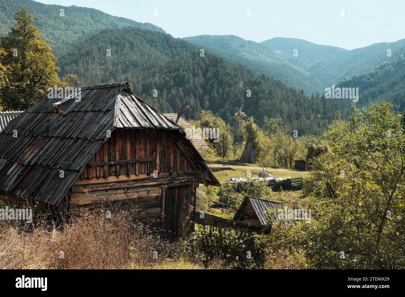 Ancienne cabane de montagne boisée dans le parc national de Tara, Serbie Banque D'Images