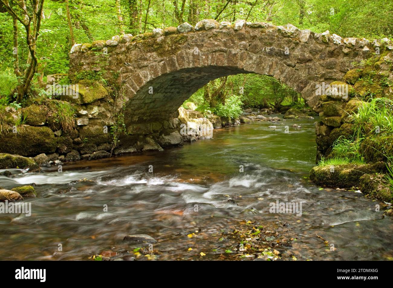 Hisley Packhorse Bridge dans le parc national de Dartmoor, Devon Banque D'Images