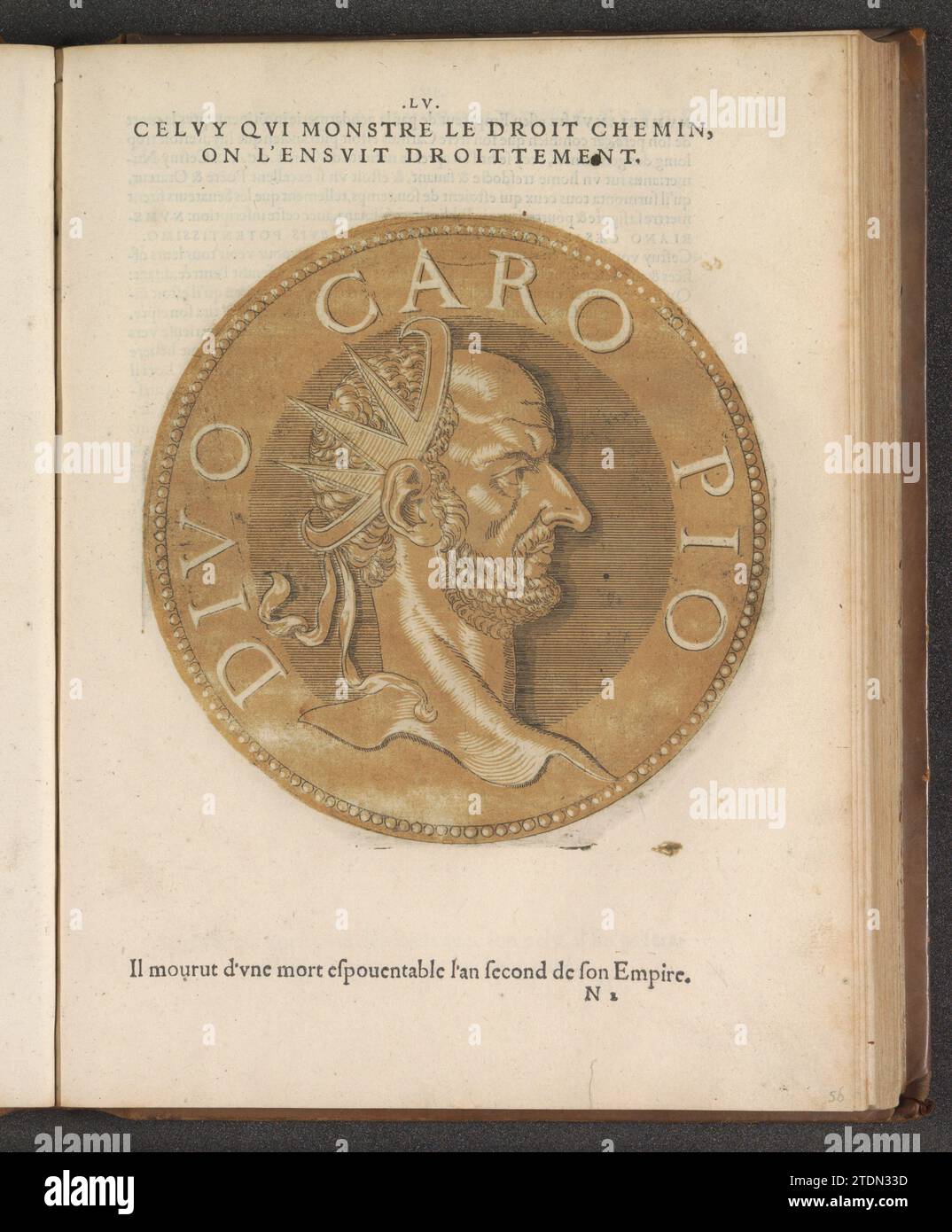 Portrait de l'Empereur Carus, 1559 Portrait de l'Empereur Carus, sur une pièce de monnaie avec bord. L'estampe fait partie d'un livre sur les empereurs de Jules César à Charles V et son frère Ferdinand. Anvers gravure sur papier / impression typographique Portrait de l'empereur Carus, sur une pièce de monnaie avec bord. L'estampe fait partie d'un livre sur les empereurs de Jules César à Charles V et son frère Ferdinand. Gravure sur papier Anvers / impression typographique Banque D'Images