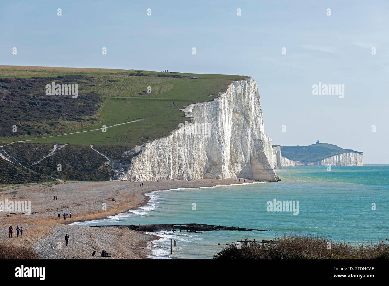 Falaises blanches, Seven Sisters, plage, Cuckmere Haven, East Sussex, Angleterre, Grande-Bretagne Banque D'Images