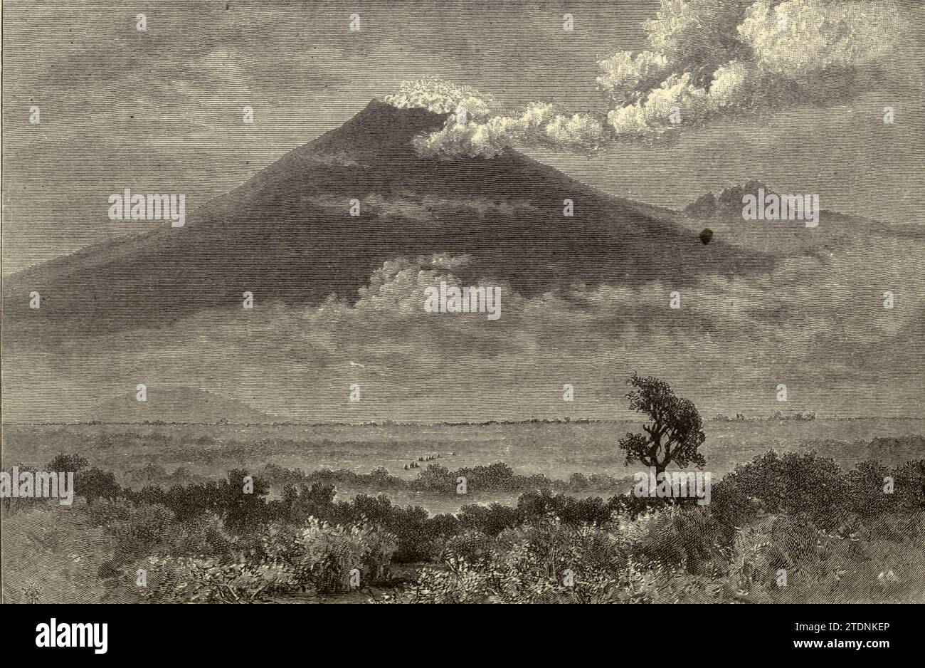 Cotopaxi, de San Rosario (10 356 pieds) Extrait du livre ' l'histoire de notre planète ' de Thomas George Bonney, 1833-1923 publié en 1902 par Cassell and Company stratovolcan dans les Andes, situé dans la ville de Latacunga de la province de Cotopaxi, Équateur Banque D'Images