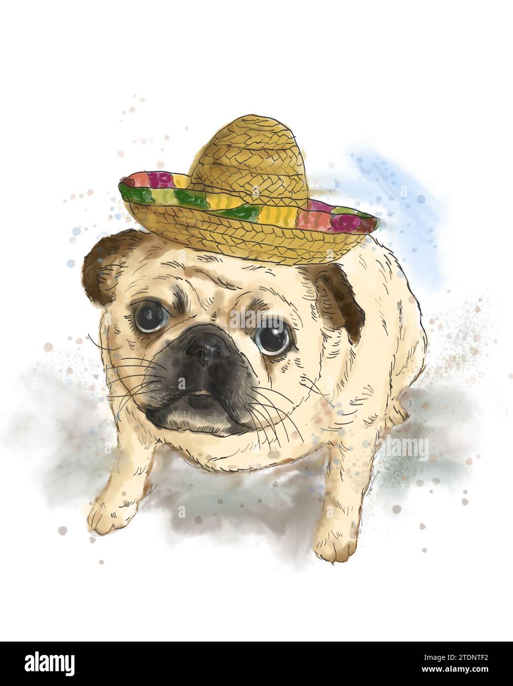 Portrait d'un mignon adorable chiot portant un chapeau mexicain. Dessin artistique à la main aquarelle colorée sur fond blanc. Concept d'animal de compagnie pour chien. Banque D'Images