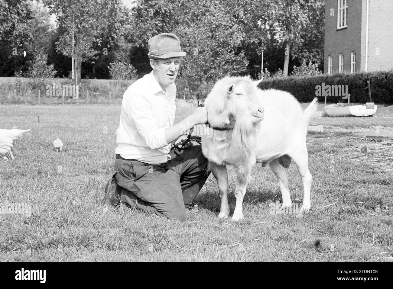 M. Hartman, éleveur de chèvres, avec quelques chèvres et une chèvre billy, 18-09-1980, Whizgle News from the Past, adapté pour l'avenir. Explorez les récits historiques, l'image de l'agence néerlandaise avec une perspective moderne, comblant le fossé entre les événements d'hier et les perspectives de demain. Un voyage intemporel façonnant les histoires qui façonnent notre avenir Banque D'Images