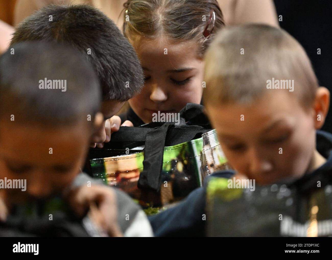 Lysa Gora, Ukraine. 19 décembre 2023. Les filles et les garçons ukrainiens d'un orphelinat sont ravis des cadeaux de Noël apportés par l'organisation privée 'OHZ Hilftt' d'Osterholz-Scharmbeck. Crédit : Carmen Jaspersen/dpa/Alamy Live News Banque D'Images