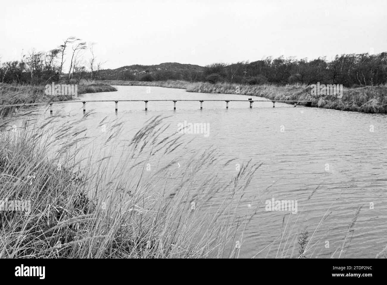 Excursion de la compagnie des eaux de Haarlem à une zone d'extraction d'eau dans les dunes, 05-07-1979, Whizgle News from the Past, taillé pour l'avenir. Explorez les récits historiques, l'image de l'agence néerlandaise avec une perspective moderne, comblant le fossé entre les événements d'hier et les perspectives de demain. Un voyage intemporel façonnant les histoires qui façonnent notre avenir Banque D'Images