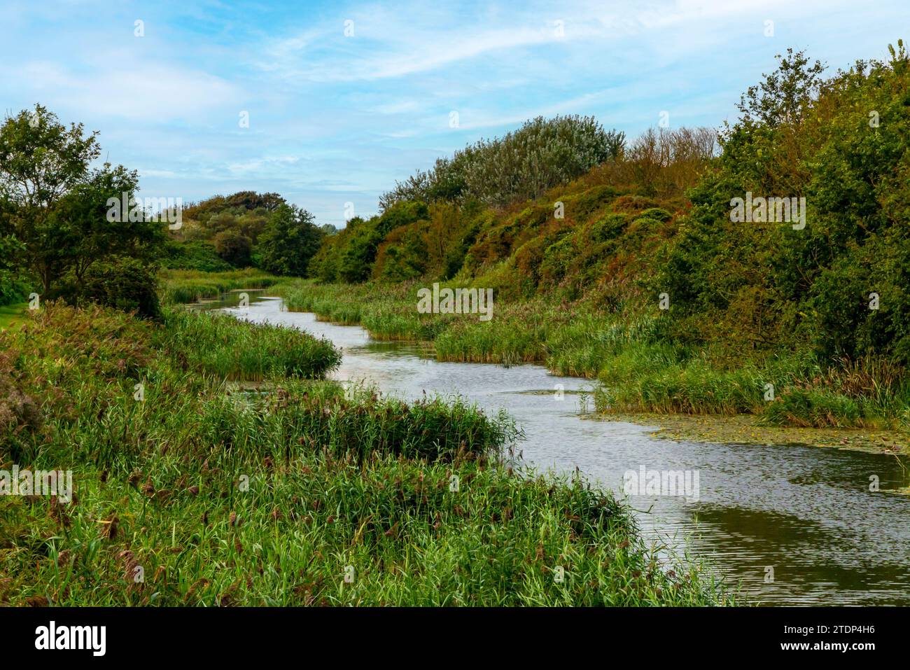 Le Royal Military Canal à Sandgate près de Hythe dans le Kent Angleterre Royaume-Uni a ouvert en 1809 comme voie navigable défensive pendant les guerres napoléoniennes. Banque D'Images