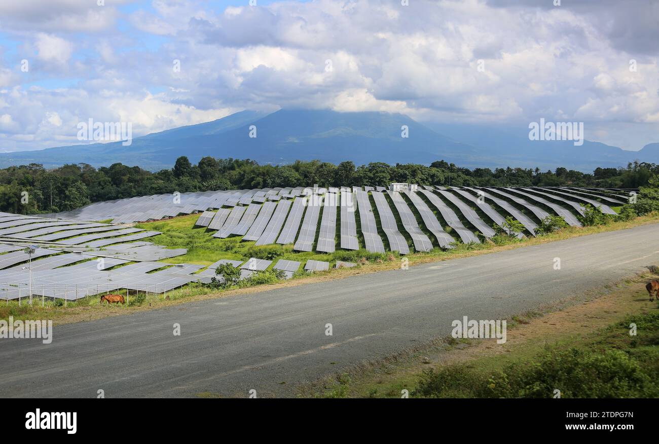 Alaminos, Philippines. 19 décembre 2023 : le parc solaire Alaminos AC Energy Storage (ACEN), l'un des plus grands projets photovoltaïques/agrivoltaïques du pays. Hier, au cours de la réunion de la Communauté Asie zéro émission (AZEC) à Tokyo, le président Marcos a courtisé les investissements de l’ASEAN dans les énergies renouvelables, en promouvant des incitations fiscales et la levée des limites de propriété étrangère. Les Philippines cherchent à porter la part de l’énergie durable dans leur production d’électricité à 50 % en 2040. Les Philippines sont le 4e marché émergent le plus attractif au monde pour les investissements dans les énergies propres (BloombergNEF). Crédit : Kevin Izorce/Alamy Live News Banque D'Images