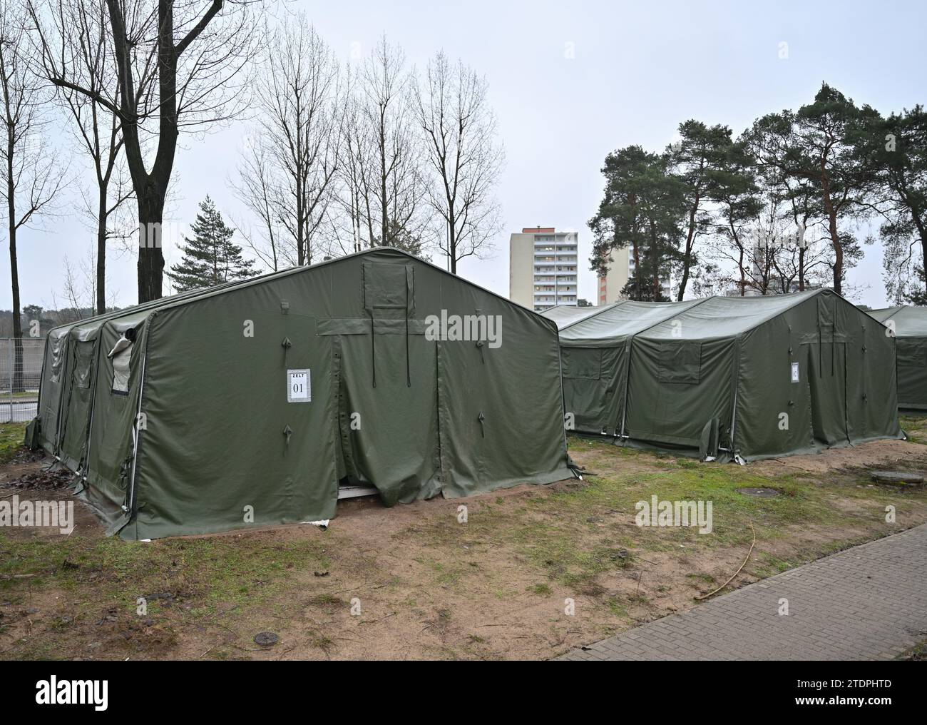 14 décembre 2023, Brandebourg, Eisenhüttenstadt : les tentes servent d'hébergement d'urgence pour les migrants sur le terrain du Centre central d'accueil initial pour les demandeurs d'asile (ZABH) de l'État de Brandebourg à Eisenhüttenstadt. Photo : Patrick Pleul/dpa Banque D'Images