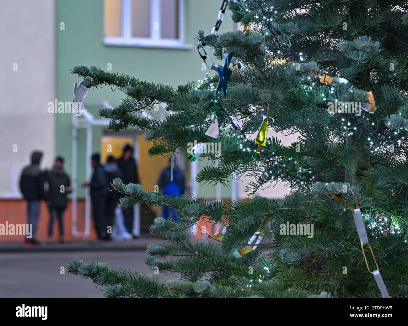 14 décembre 2023, Brandebourg, Eisenhüttenstadt : un arbre de Noël se dresse sur le terrain du Centre central d'accueil pour demandeurs d'asile de Brandebourg (ZABH) à Eisenhüttenstadt. Photo : Patrick Pleul/dpa Banque D'Images