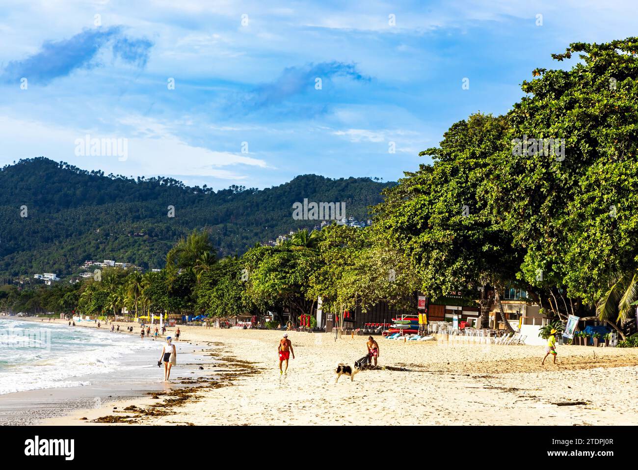 Promenade touristique matinale sur la plage de Chaweng, Ko Samui, Thaïlande Banque D'Images