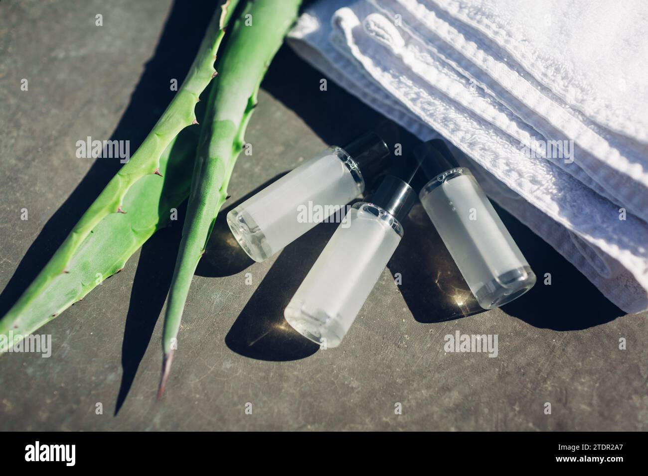 Bouteilles de lotion avec extrait de feuilles d'aloe vera et serviettes blanches. Concept cosmétique naturel. Soins de la peau médecine biologique et spa Banque D'Images