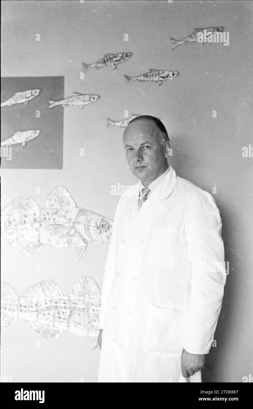 Docteur en art mural, 00-00-1960, Whizgle News from the Past, taillé pour l'avenir. Explorez les récits historiques, l'image de l'agence néerlandaise avec une perspective moderne, comblant le fossé entre les événements d'hier et les perspectives de demain. Un voyage intemporel façonnant les histoires qui façonnent notre avenir Banque D'Images