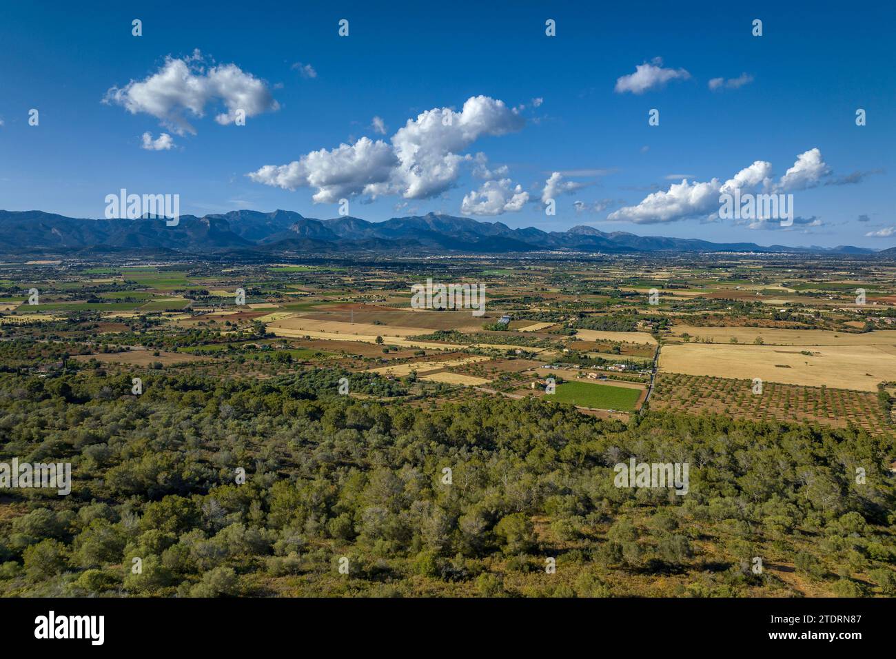 Vue aérienne du sommet du Puig de Santa Eugènia. En arrière-plan, la chaîne de montagnes de la Serra de Tramuntanta (Majorque, Îles Baléares, Espagne) Banque D'Images