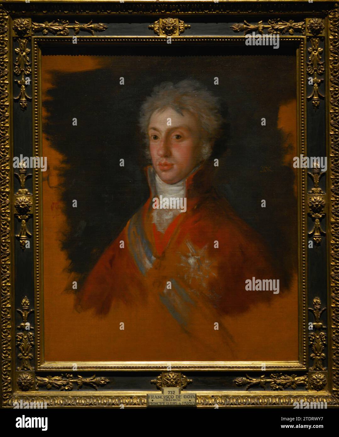 Louis Ier d'Étrurie (1773-1803). Infante d'Espagne. Maison de Bourbon. Infant Louis Ier, roi d'Étrurie, prince de Parme. Portrait de Francisco de Goya Lucientes (1746-1828), 1800. Huile sur toile, 72,5 x 59,4 cm. Musée du Prado. Madrid. Espagne. Banque D'Images