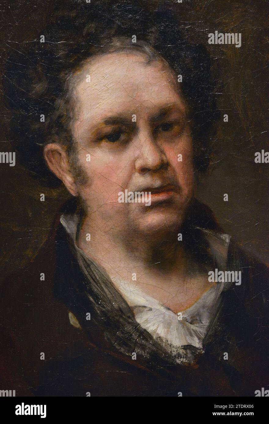 Francisco de Goya y Lucientes (1746-1828) Peintre espagnol. Autoportrait, 1815. Huile sur toile (45,8 x 35,6 cm. Détails. Musée du Prado. Madrid. Espagne. Banque D'Images