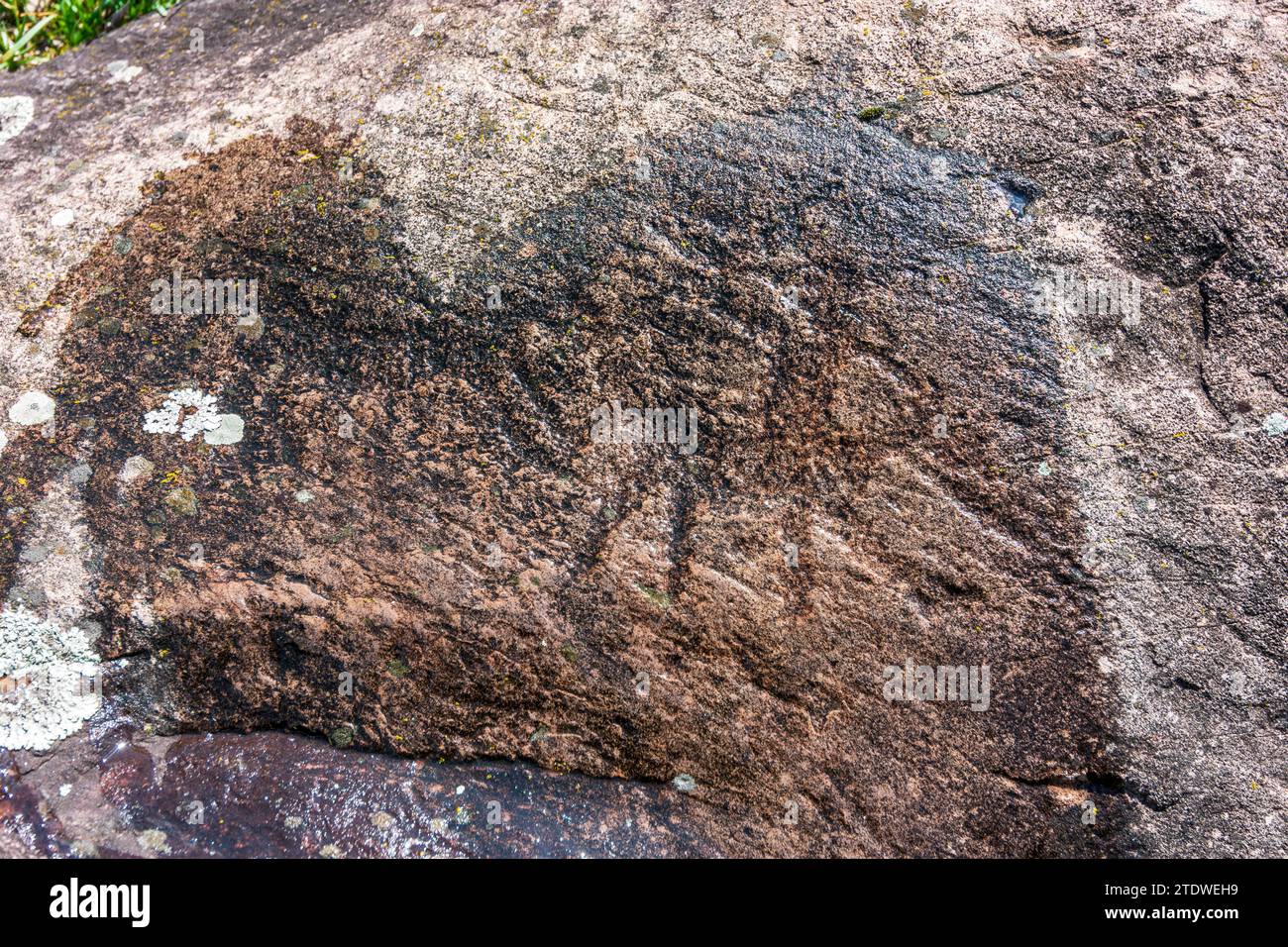 Capo di Ponte : Parc archéologique municipal de Seradina-Bedolina, sites d'art rupestre, dessins rupestres à Valcamonica (vallée de Camonica), pétroglyphes à Bres Banque D'Images