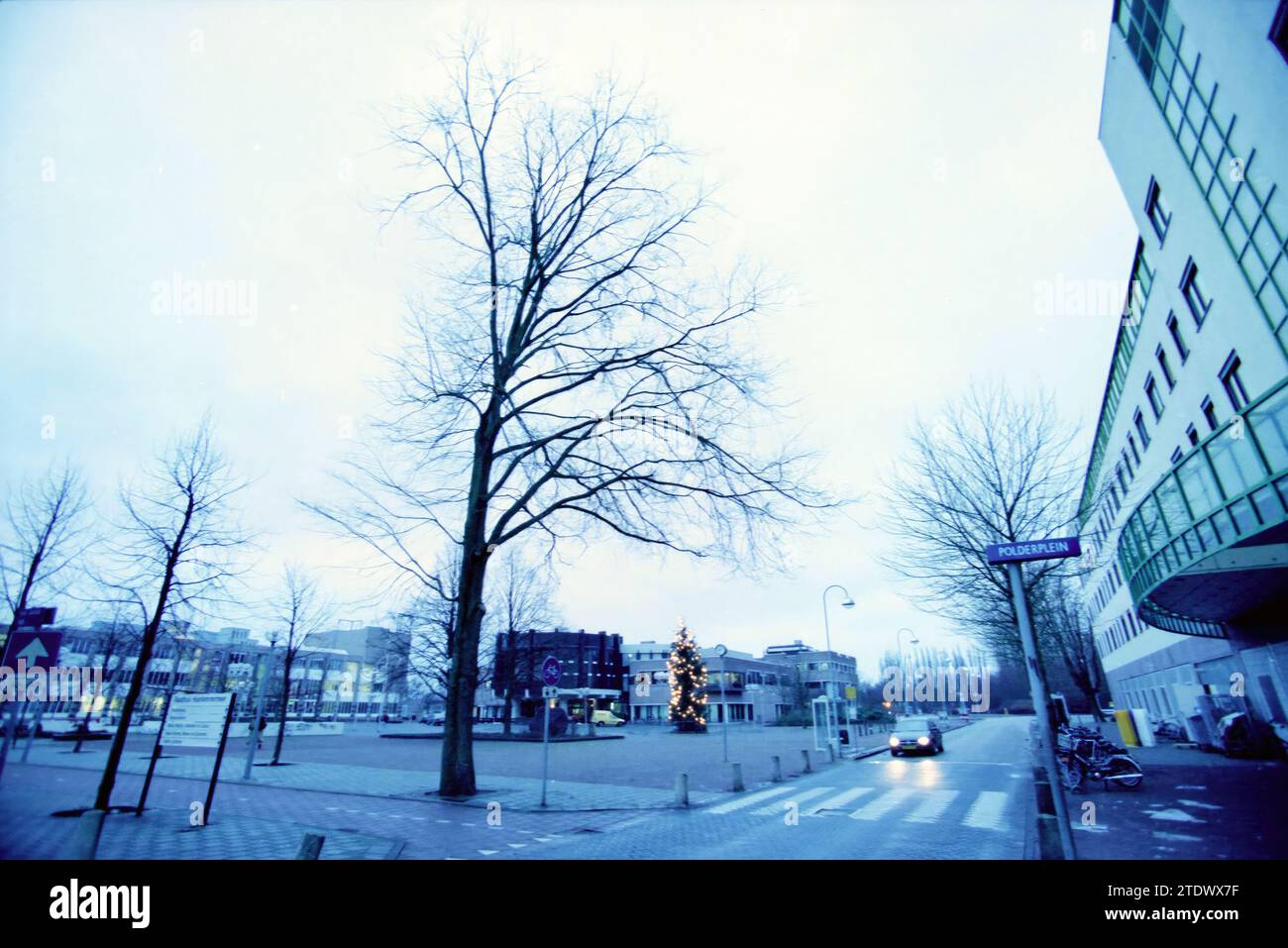 Elm on the Raadhuisplein Hoofddorp, Hoofddorp, Raadhuisplein, pays-Bas, 21-12-1998, Whizgle nouvelles du passé, adaptées à l'avenir. Explorez les récits historiques, l'image de l'agence néerlandaise avec une perspective moderne, comblant le fossé entre les événements d'hier et les perspectives de demain. Un voyage intemporel façonnant les histoires qui façonnent notre avenir Banque D'Images