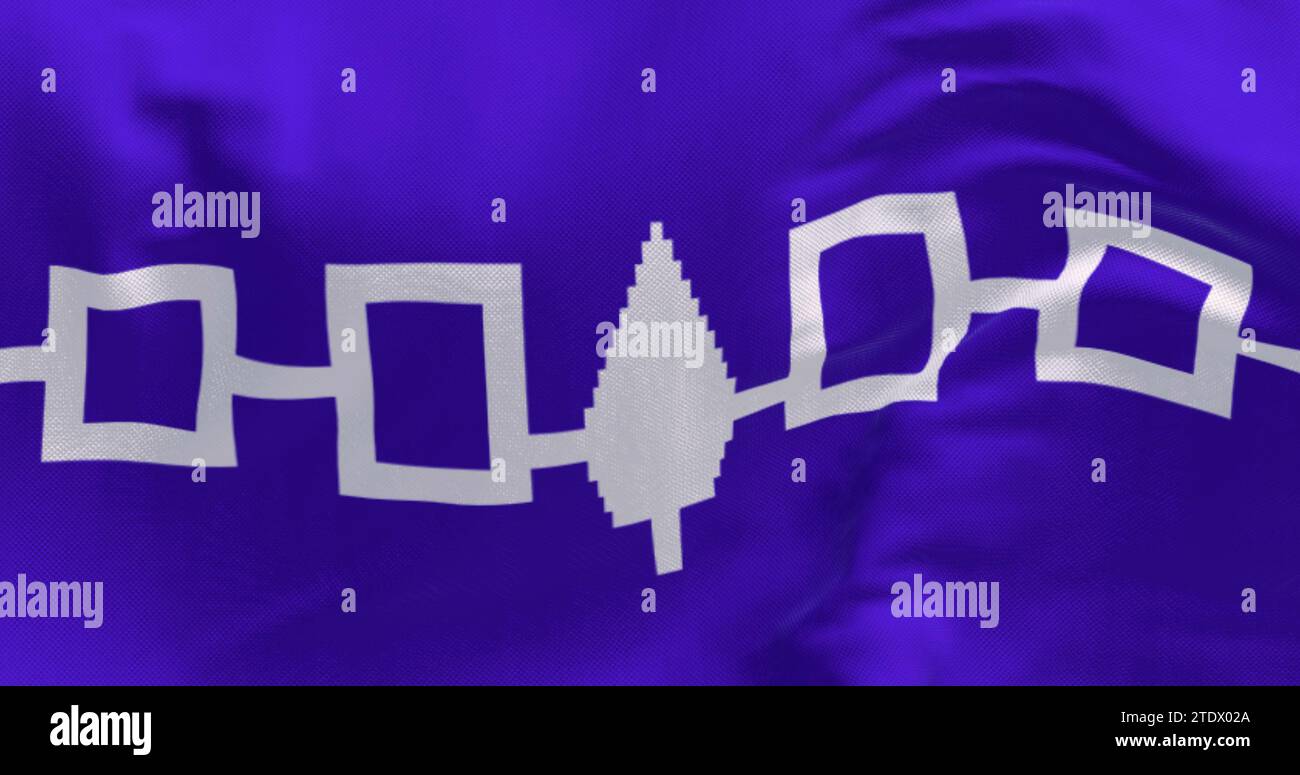 Gros plan du drapeau iroquois agitant. Drapeau violet avec quatre carrés blancs reliés et un pin blanc oriental au centre. rendu d'illustration 3d. Banque D'Images