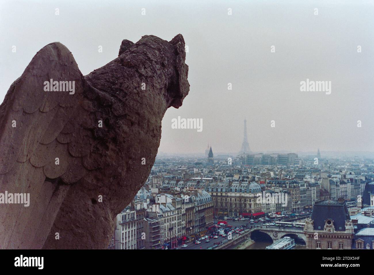 Gargoyle surplombant Paris brumeux France en décembre 1990. Plan de film. Banque D'Images