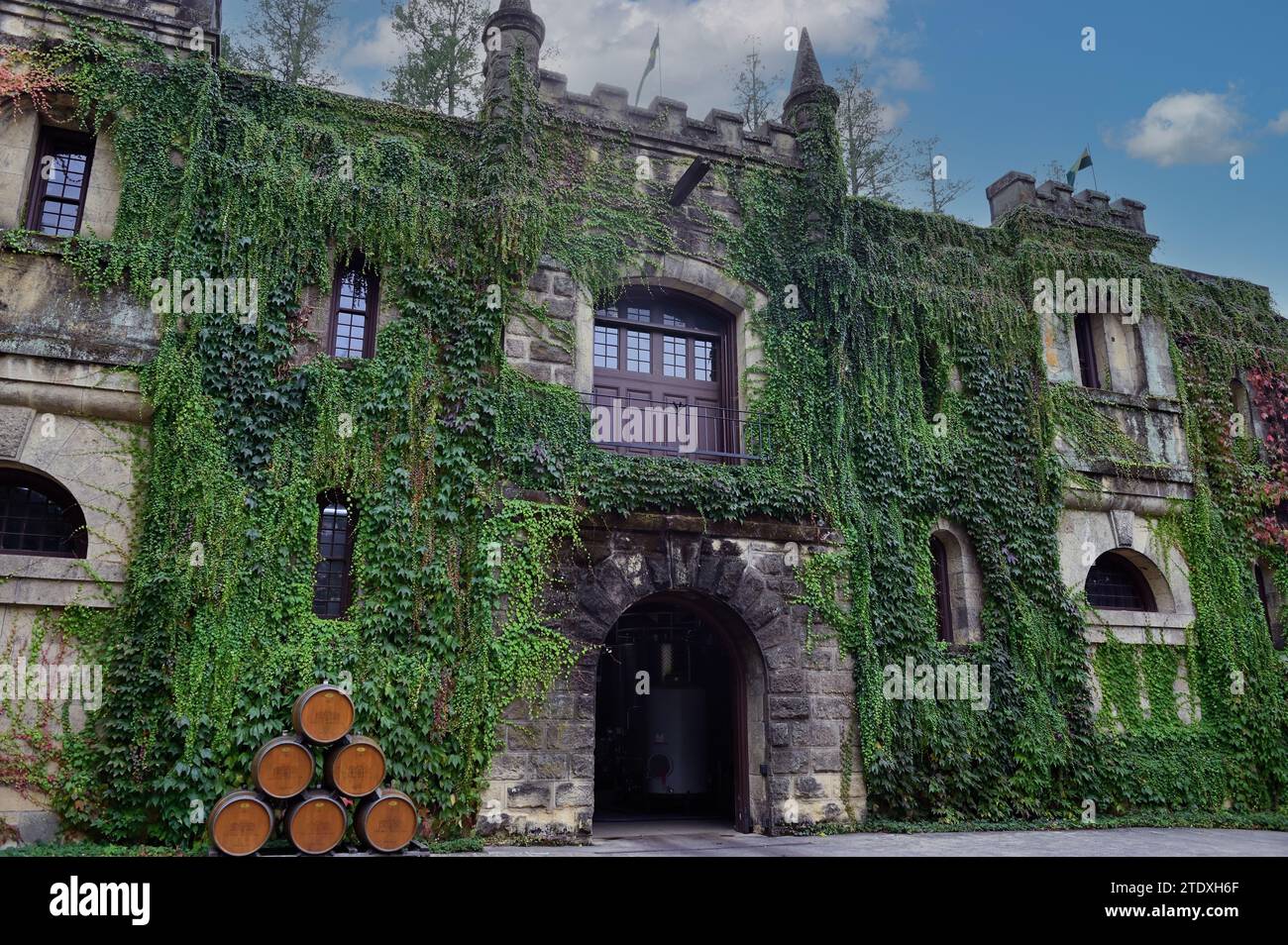 Calistoga, Californie, États-Unis. L'extérieur du bâtiment couvert de lierre au Château Montelena dans la vallée de Napa. Banque D'Images