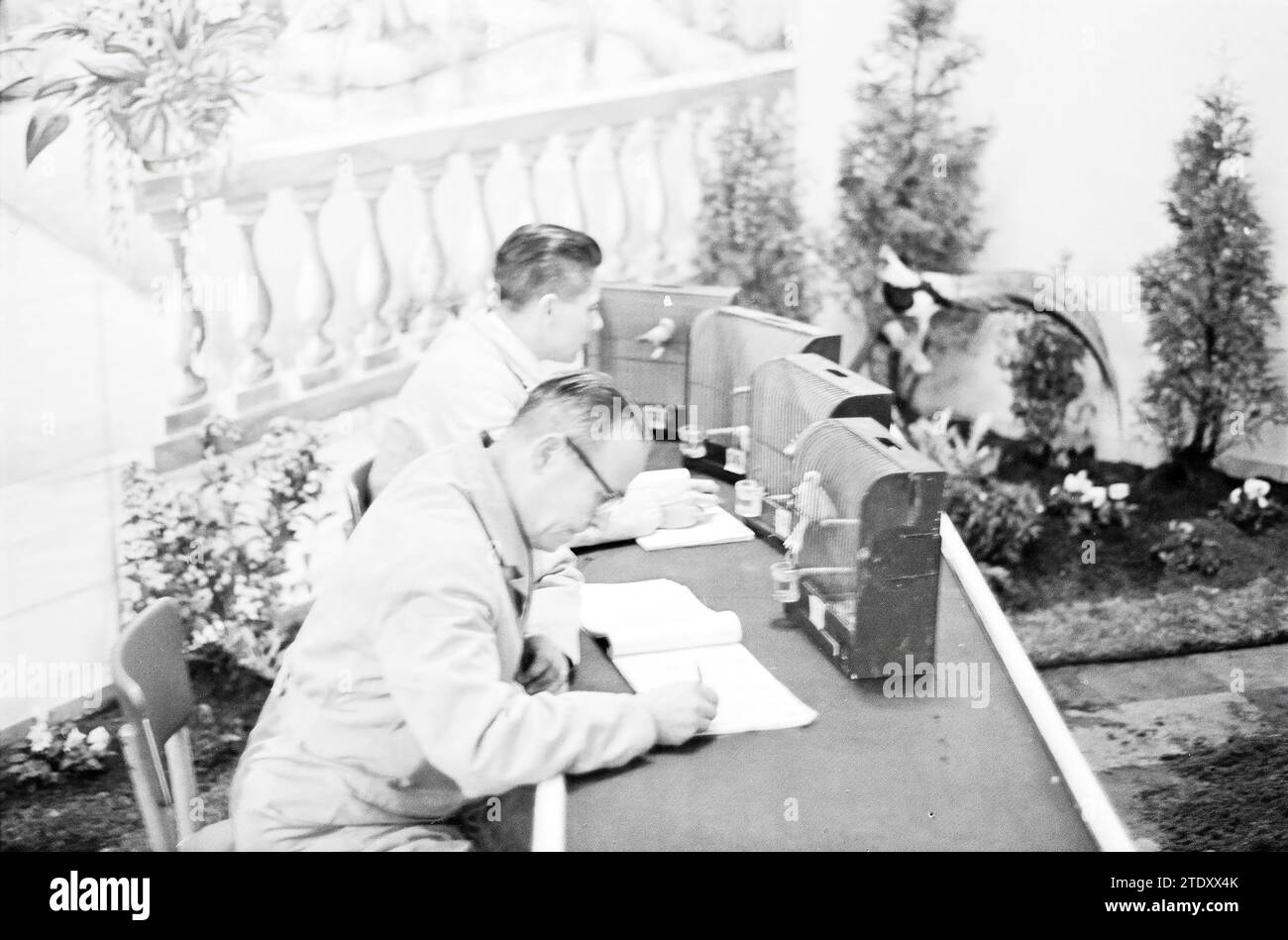 Exposition d'inspection des oiseaux à Vleeshal, oiseaux, Haarlem, Grote Markt, pays-Bas, 06-11-1963, Whizgle nouvelles du passé, adaptées à l'avenir. Explorez les récits historiques, l'image de l'agence néerlandaise avec une perspective moderne, comblant le fossé entre les événements d'hier et les perspectives de demain. Un voyage intemporel façonnant les histoires qui façonnent notre avenir. Banque D'Images